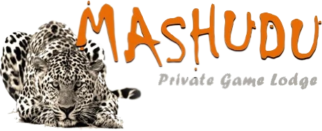 Mashudu Private Game Lodge logo